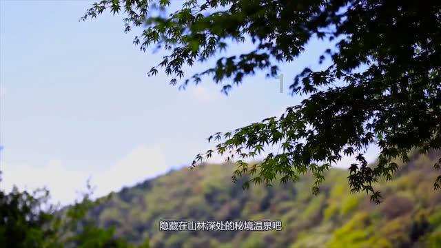 新型债券来了 中行将发不超1500亿元TLAC非资本债